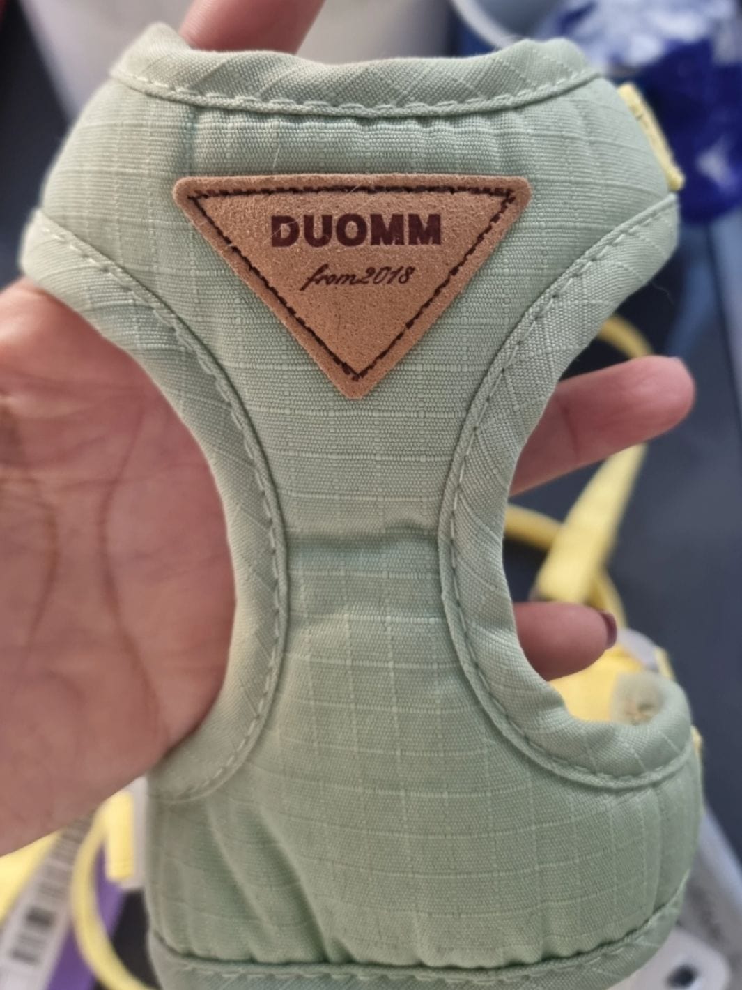 Un collier vert pour chat avec une fleur et une clochette amovible