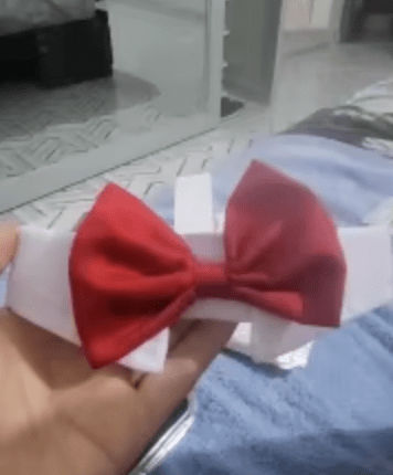 Un chien staff blanc avec une ciane collier autour de son cou