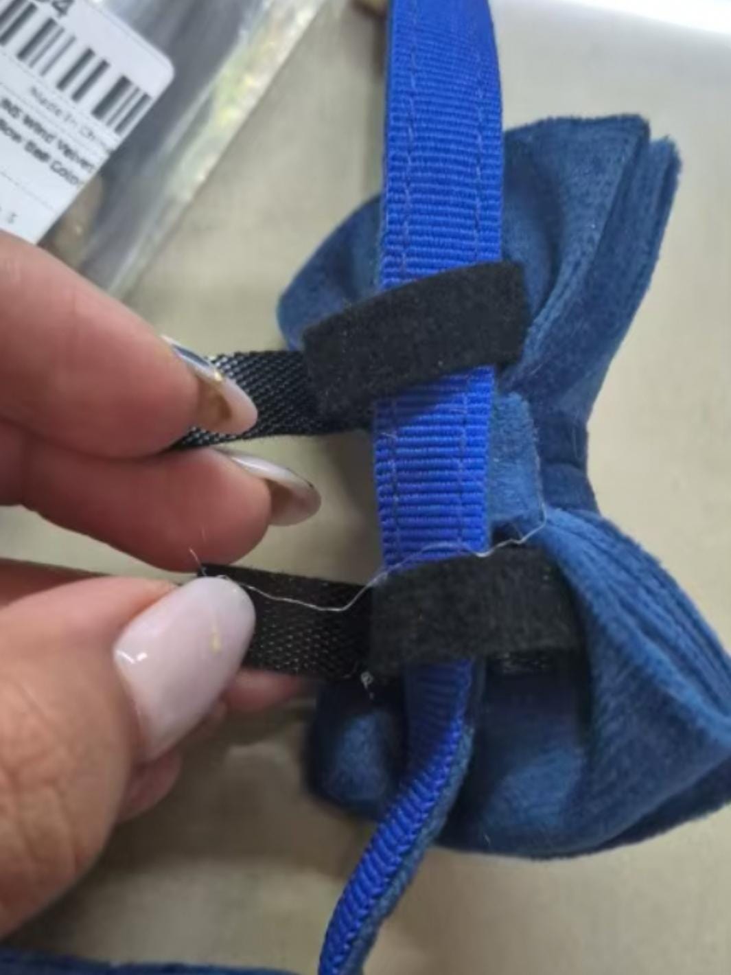 Un collier pour chat avec un noeud papillon bleu