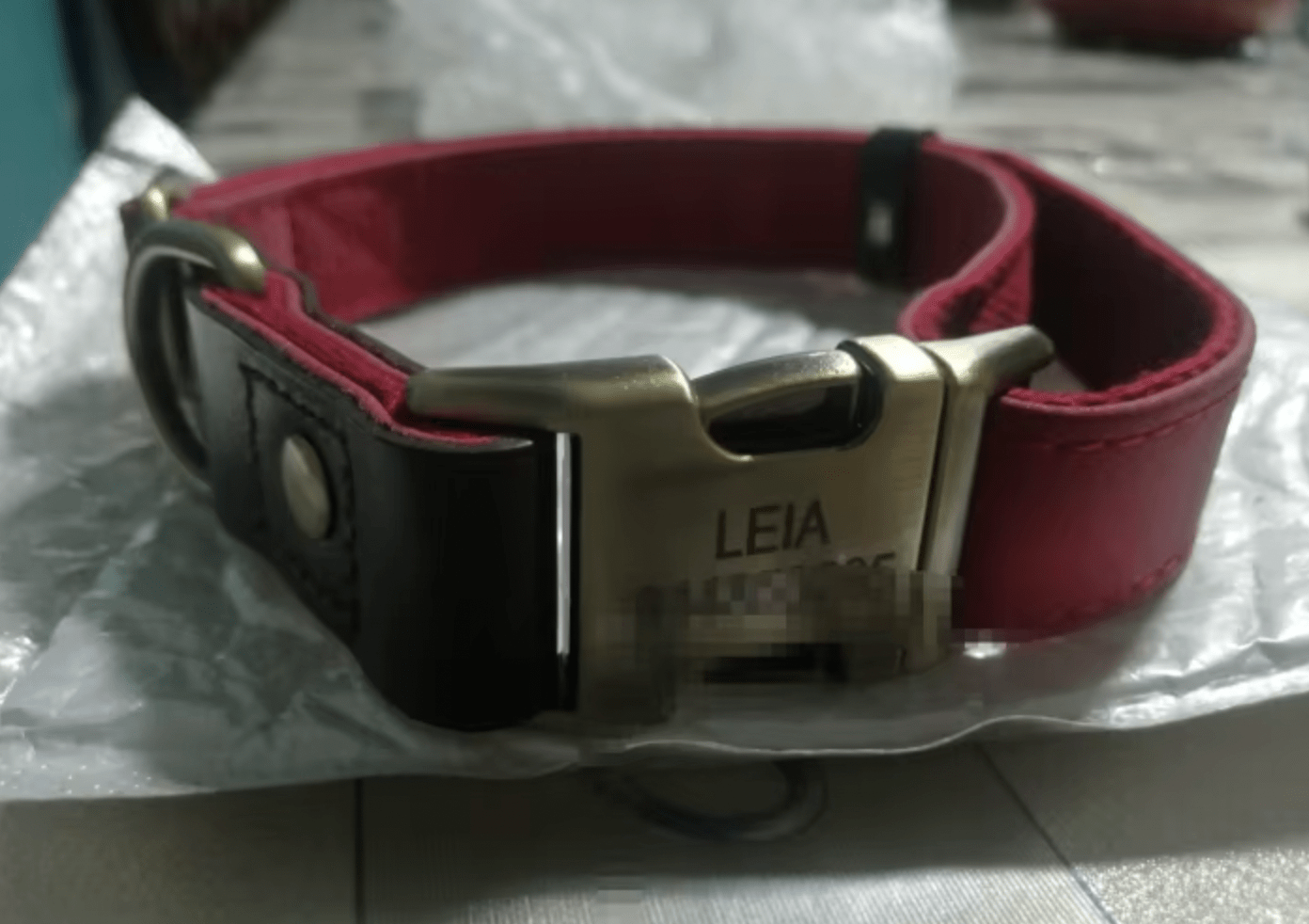 Collier rouge pour chien en simili cuir avec le nom de l'animal gravé et le numéro de téléphone