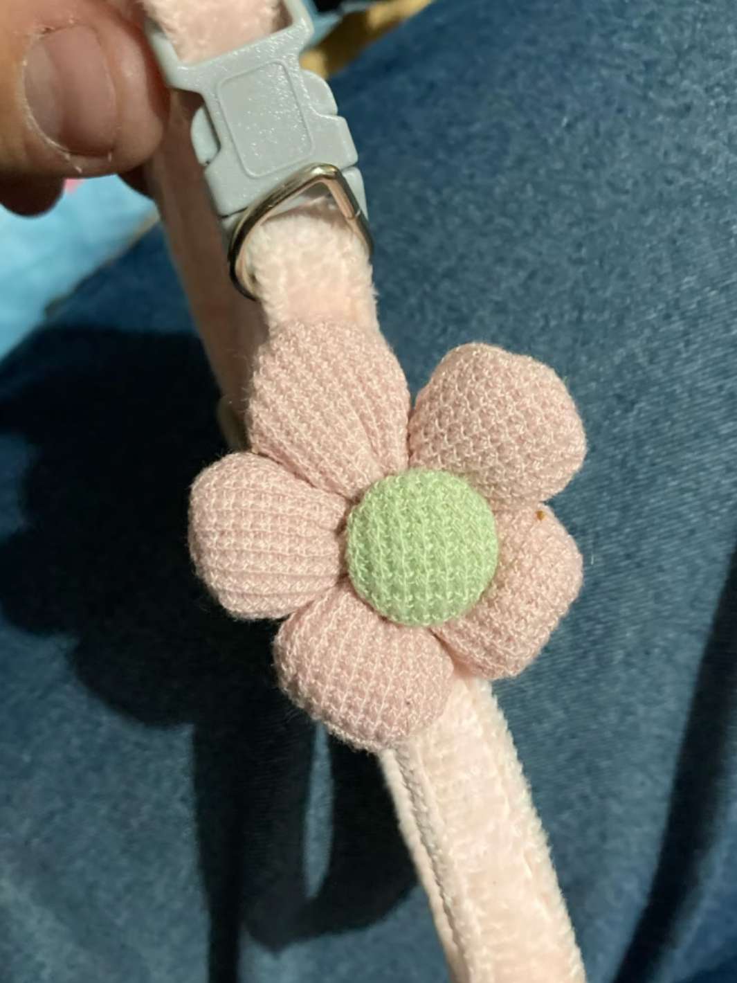 Collier beige pour chat une fleur en décoration