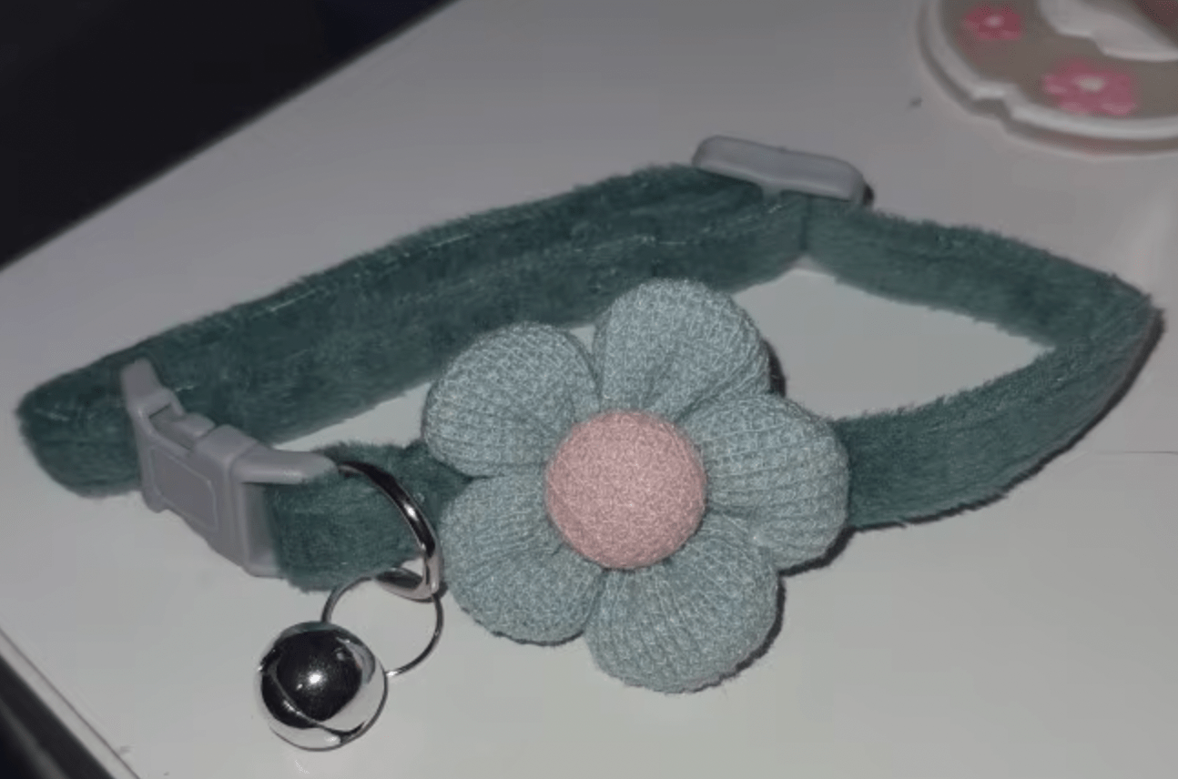 Un collier vert pour chat avec une fleur et une clochette amovible