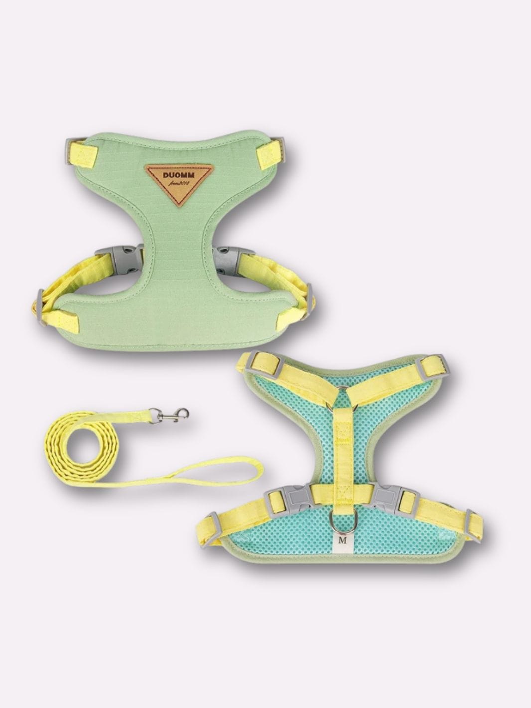 Harnais pour Chat Adulte - Muzo