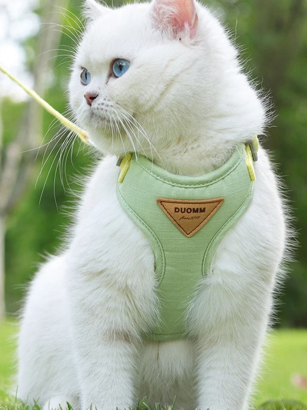 Harnais pour Chat Adulte - Muzo