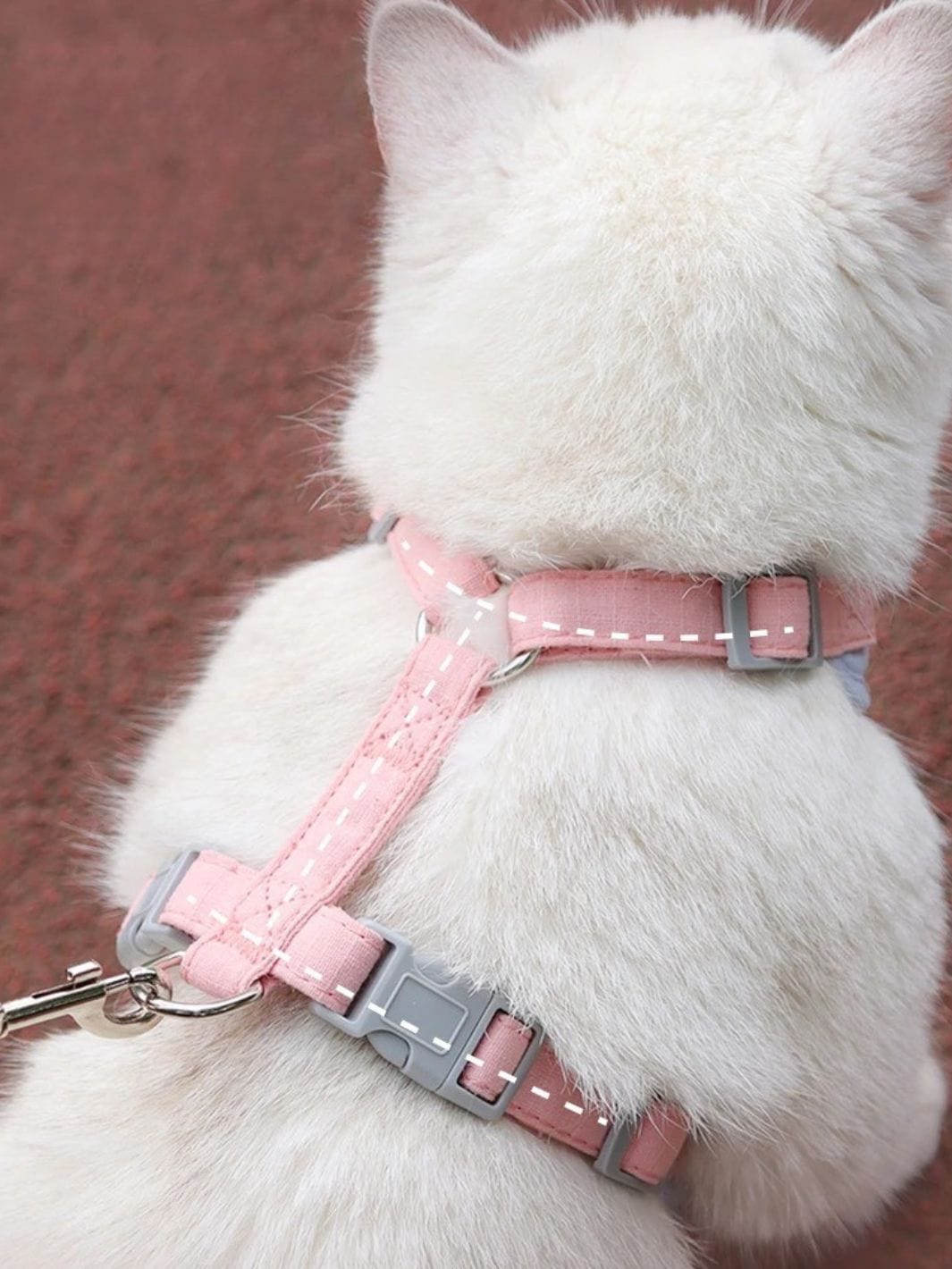 Harnais pour Chat Adulte - Muzo