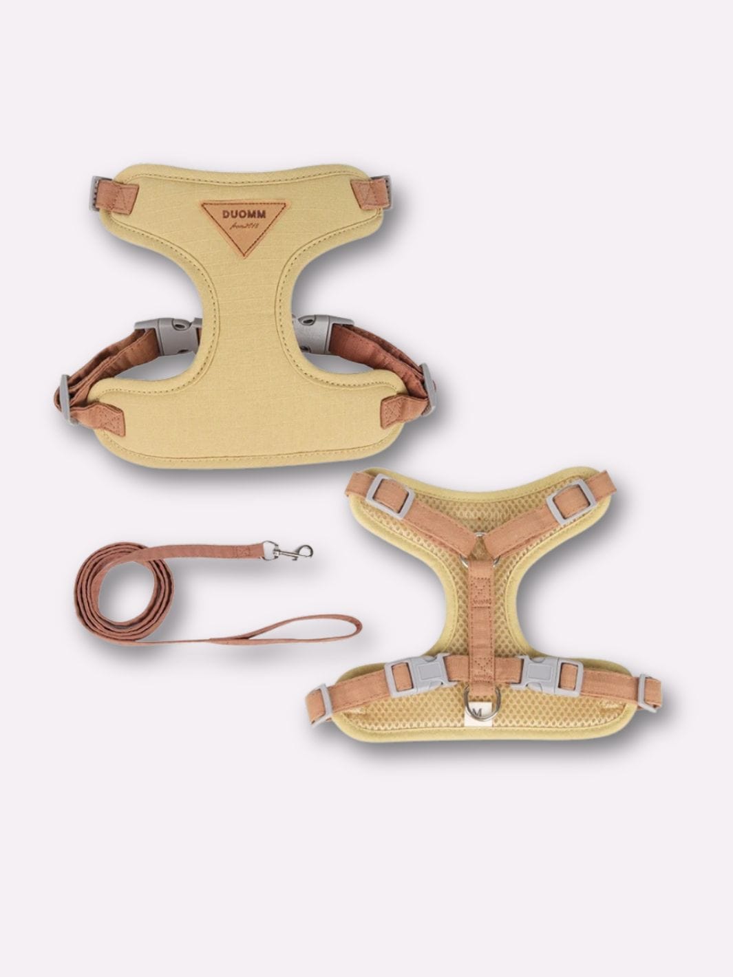 Harnais pour Chat Adulte - Muzo