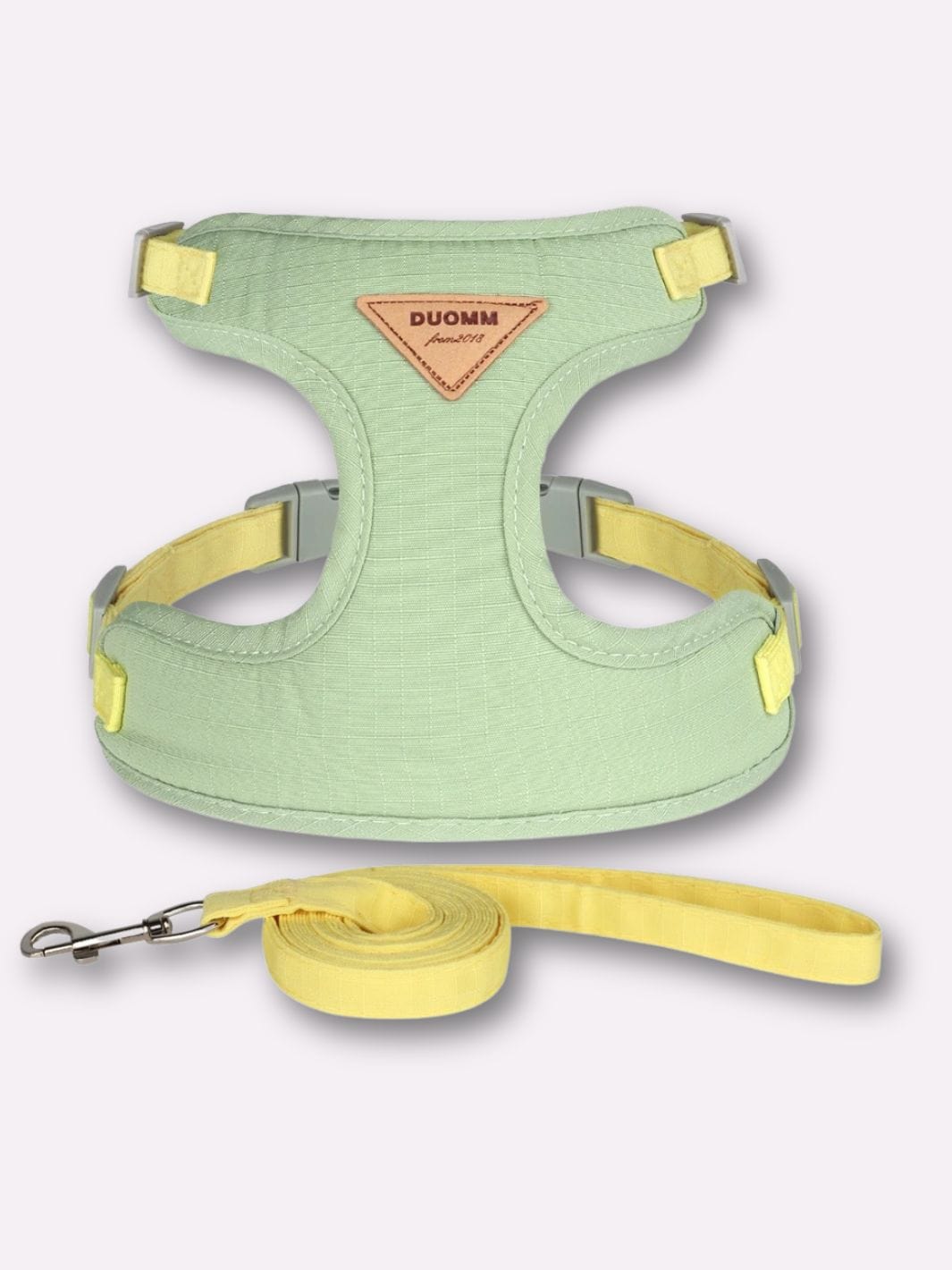 Harnais pour Chat Adulte Vert / XS