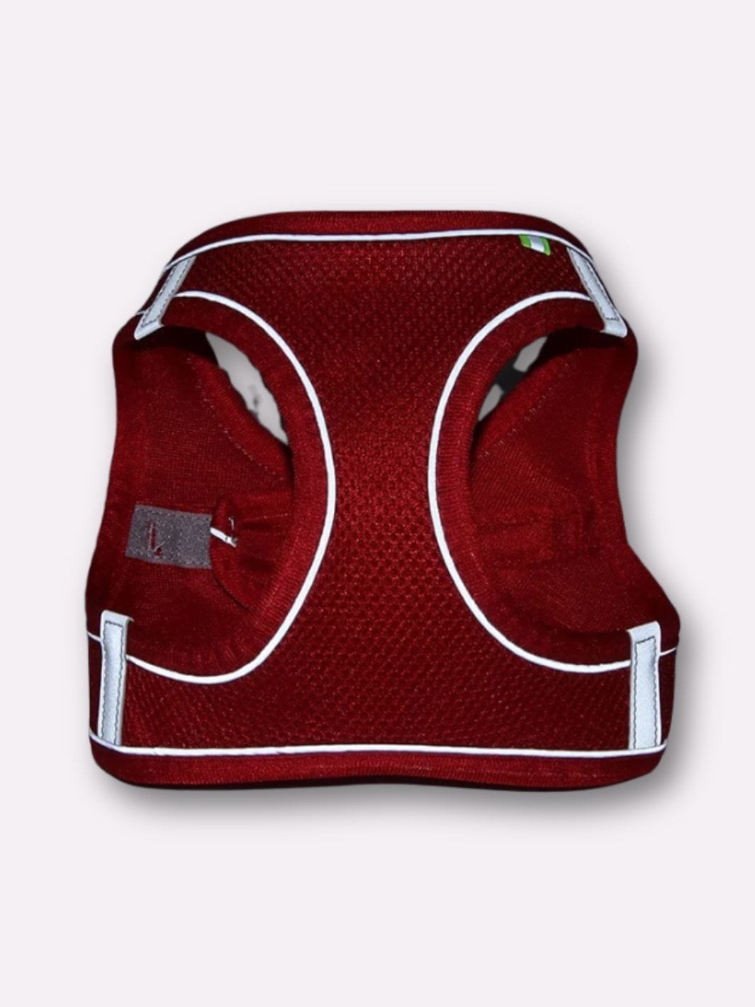 Harnais Réfléchissant pour Chat