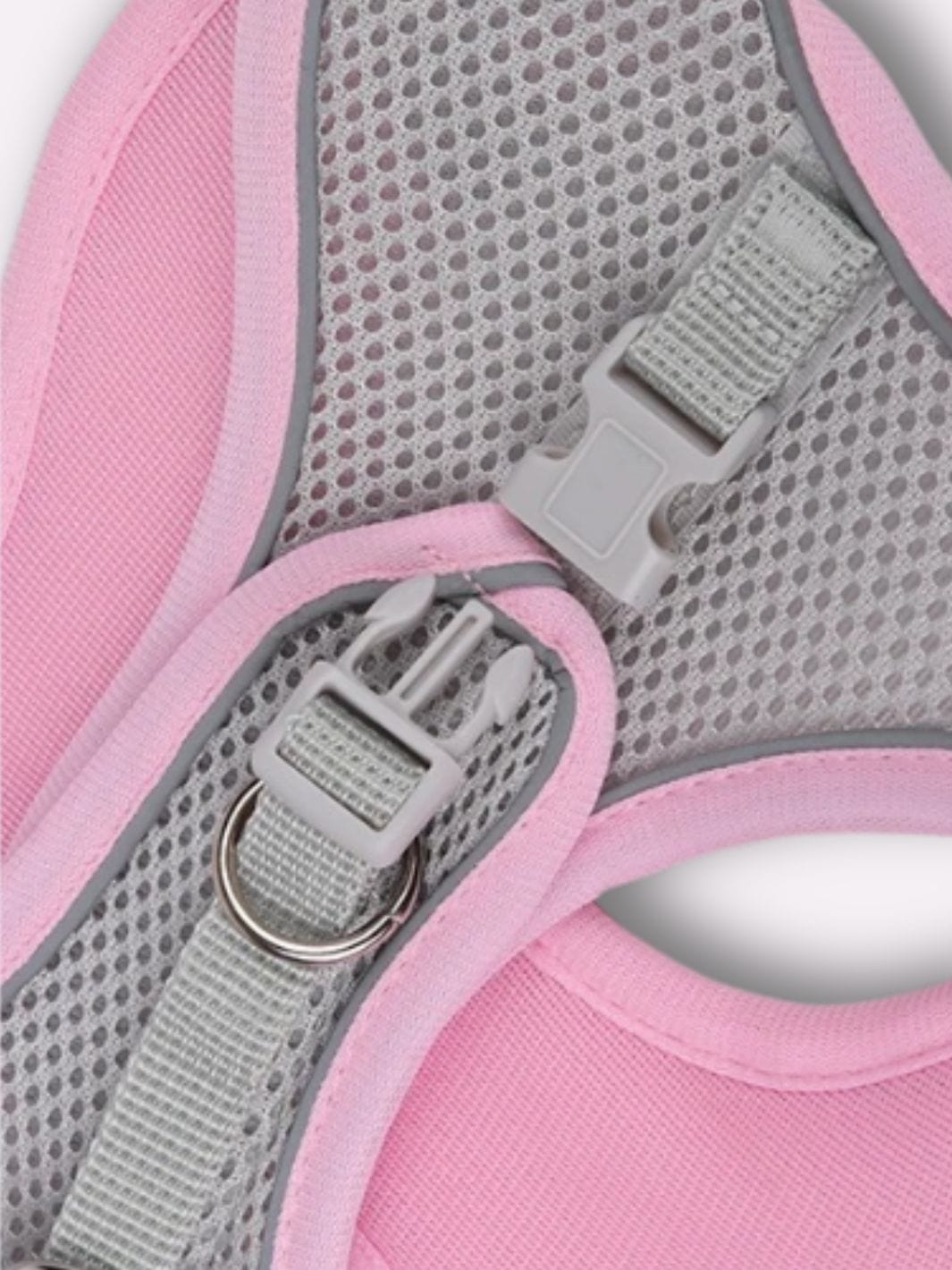 Harnais Réfléchissant pour Chat - Muzo