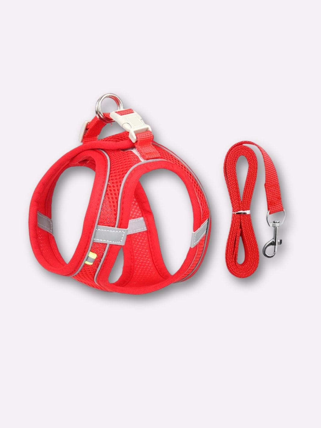 Harnais Réfléchissant pour Chat - Muzo