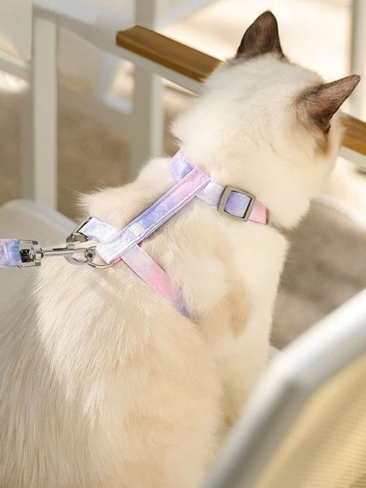 Laisse et Harnais pour Chat
