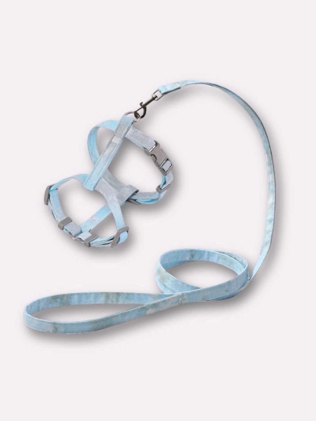 Laisse et Harnais pour Chat - Muzo