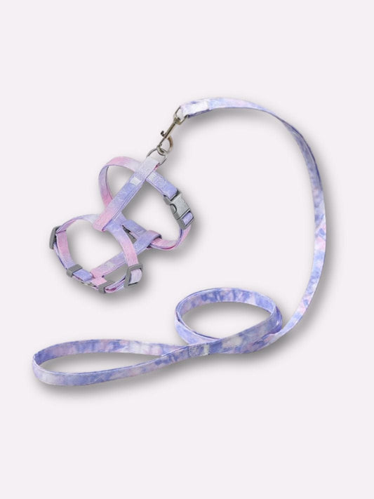 Laisse et Harnais pour Chat Rose & Violet / M