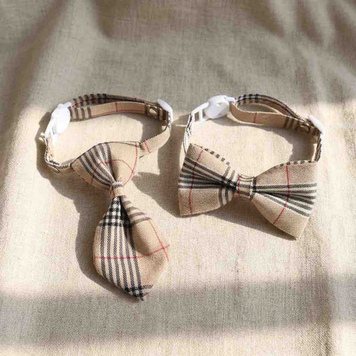 Lot de colliers chic pour chat - Muzo