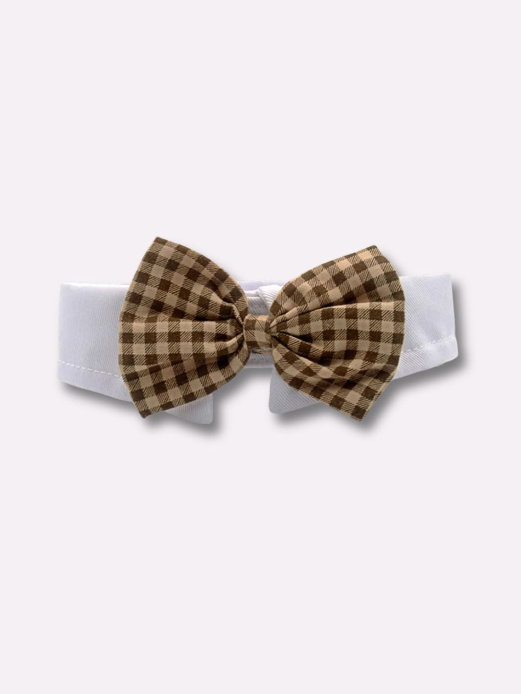 Collier pour Chien Noeud Papillon