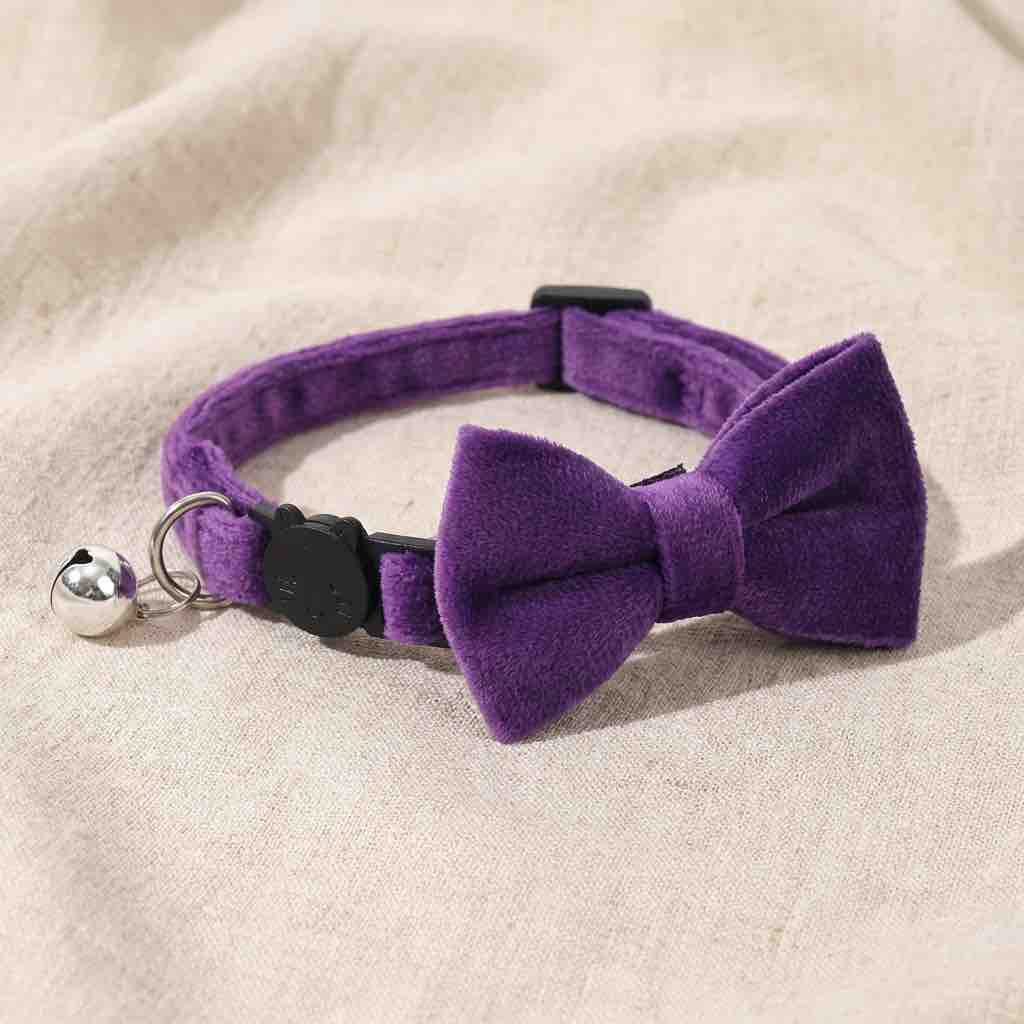 Nœud papillon anti-étranglement en velours pour chat violet