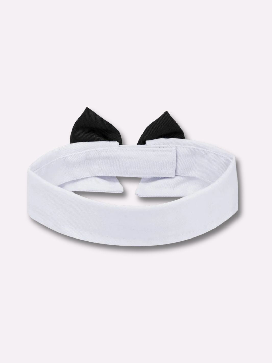 Noeud Papillon pour Chat