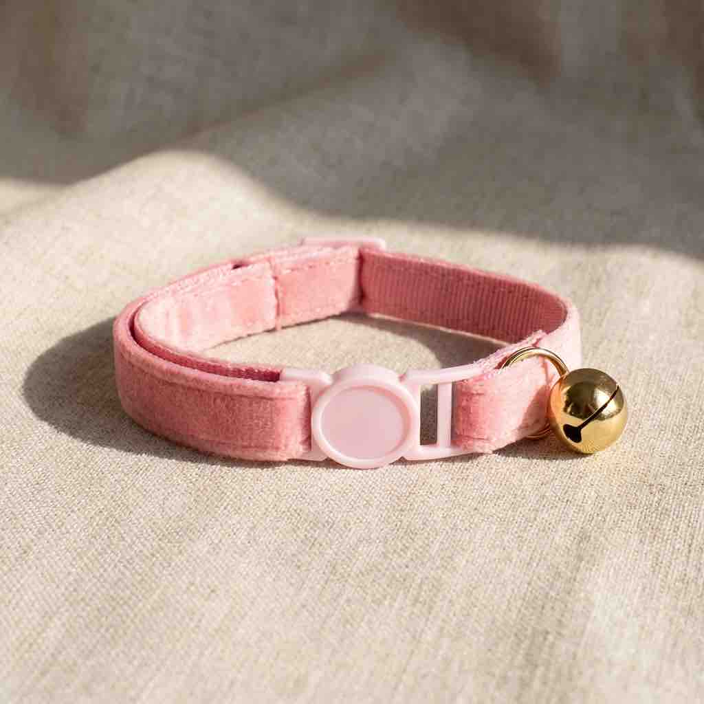un collier en velours rose pour chat avec un fermoir anti-étranglement
