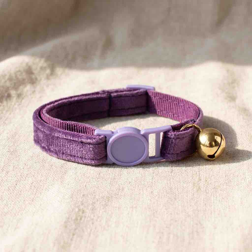un collier en velours violet pour chat avec un fermoir anti-étranglement